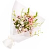 Petals In Pink - Standard (thumbnail 1 of 2)