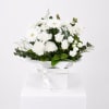 Genteel Gestures Flower Box - Standard (thumbnail 2 of 5)
