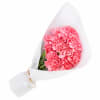Market Bunch   Pink Carnations - Standard (thumbnail 1 of 3)