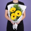 Gerbera Gems Posy - Standard (thumbnail 3 of 4)