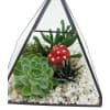 alternate arrangement view