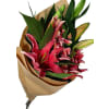 alternate arrangement view