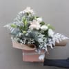 Shimmering Delight - Standard (thumbnail 2 of 2)