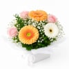 Levity Bloom Box - Standard (thumbnail 1 of 4)