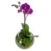 alternate arrangement view