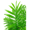 alternate arrangement view