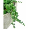 alternate arrangement view