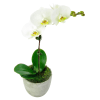 alternate arrangement view
