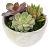 alternate arrangement view