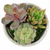 alternate arrangement view
