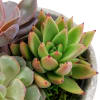 alternate arrangement view