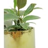 alternate arrangement view