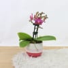 alternate arrangement view