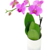 alternate arrangement view