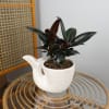 alternate arrangement view