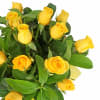 Roses For Tigers - Standard (thumbnail 2 of 4)