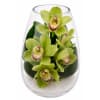 Beauty Beheld Cymbidium Orchid Vase - Standard (thumbnail 1 of 4)
