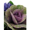 alternate arrangement view