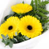 Gerbera Gems Posy - Standard (thumbnail 4 of 4)