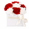Little Carnation Flower Box Red & White - Standard (thumbnail 1 of 2)