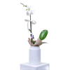 alternate arrangement view