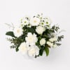 Genteel Gestures Flower Box - Standard (thumbnail 4 of 5)