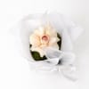 Rosie Bloom – Single Rose Mini Box Arrangement - Standard (thumbnail 2 of 6)