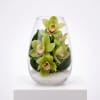 Beauty Beheld Cymbidium Orchid Vase - Standard (thumbnail 2 of 4)