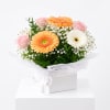 Levity Bloom Box - Standard (thumbnail 2 of 4)