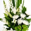 alternate arrangement view
