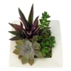 alternate arrangement view