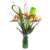 alternate arrangement view
