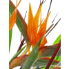 alternate arrangement view