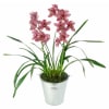alternate arrangement view