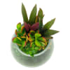 alternate arrangement view