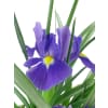 alternate arrangement view