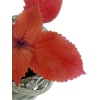 alternate arrangement view