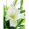 alternate arrangement view