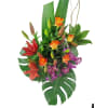 alternate arrangement view