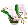 alternate arrangement view