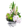 alternate arrangement view