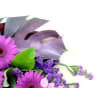 alternate arrangement view