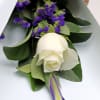 alternate arrangement view