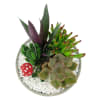 alternate arrangement view