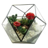 alternate arrangement view