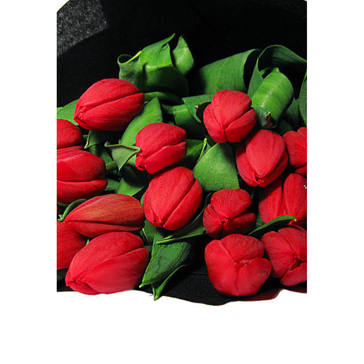 Tulip Bouquet (Deluxe) Flower Delivery Sydney