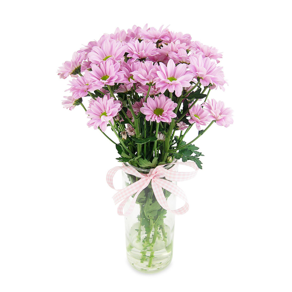 Chrysanthemum Vase Same Day Sydney Delivery