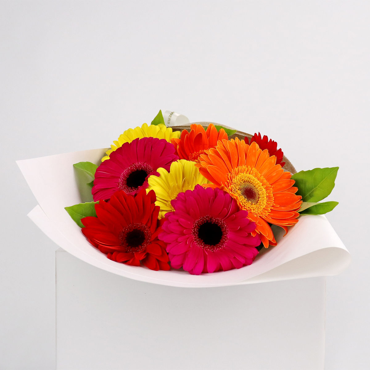 Gerberas | Flower Delivery Sydney | Flowers Across Sydney