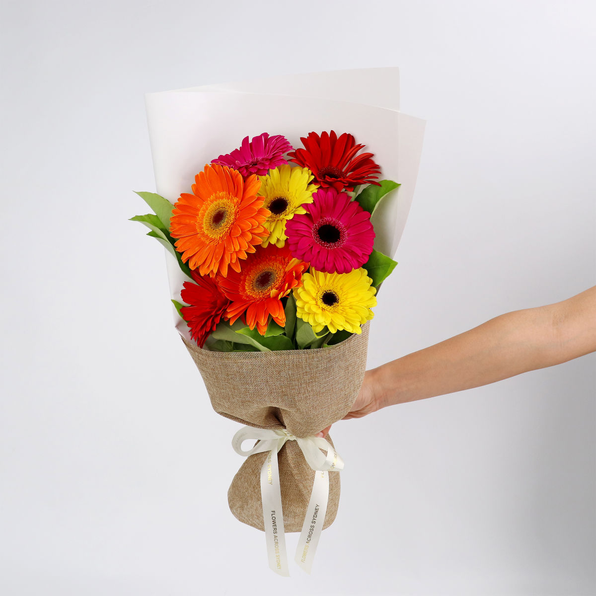 Gerberas | Flower Delivery Sydney | Flowers Across Sydney