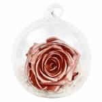 Preserved Rose Gold Orb - Standard